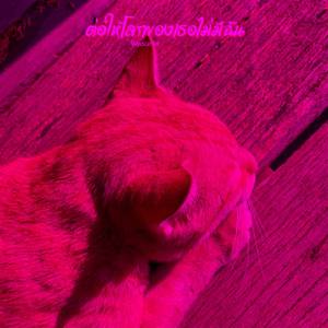 ต่อให้โลกของเธอไม่มีฉัน (Speed Up)