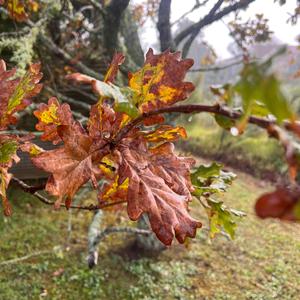 Perfectly Us (feat. Natalie Judith Wenzler) (Radio Edit)