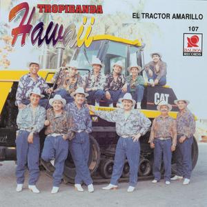 El Pajarito Y La Pava