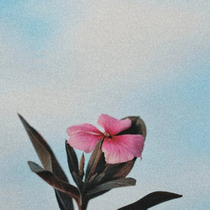 【特价】"绿茶逃逸"R&B/Pop" Type Beat