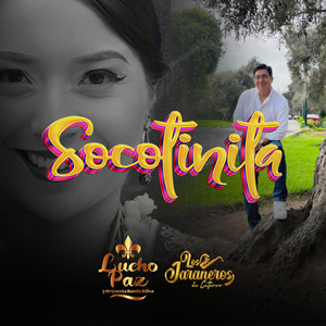 Socotinita