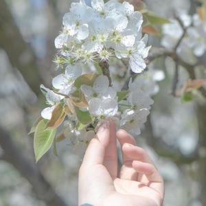 我在你身后（完整男版）（翻自 李飘飘）