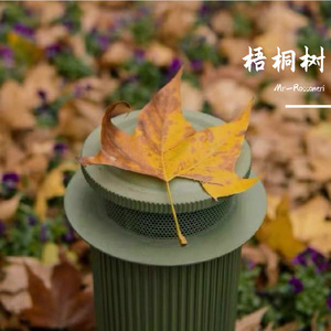 梧桐树