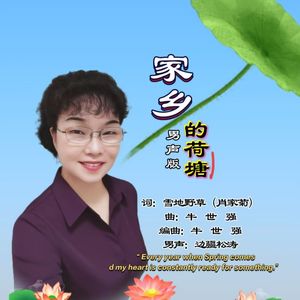 家乡的荷塘-3边疆松涛