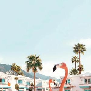 为什么你要离开我