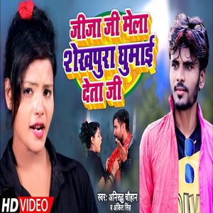 Jeeja jee mela shekhapura ke ghuma teta hai