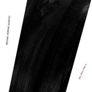 Blues Bird (White Throated Sparrow)