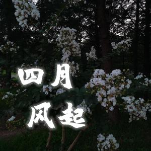 四月风起