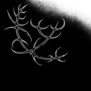 Anti-House (Slowed + Reverb)