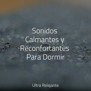 Revolotea en La Brisa