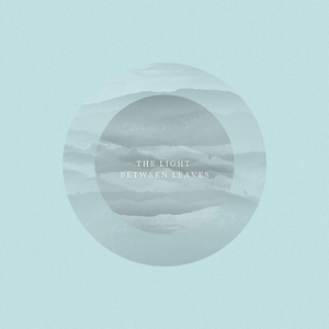 The Light Between Leaves