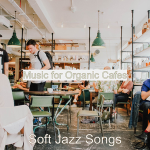Guitar Solo - Vibes for Fair Trade Coffee Houses