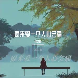 原来爱一个人心会痛 伴奏