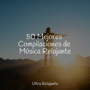 Creatividad
