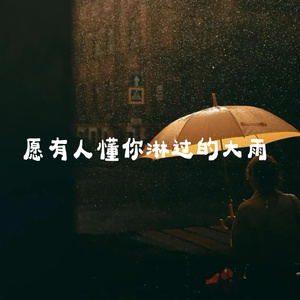 愿有人懂你淋过的大雨