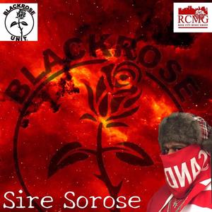 R.O.S.E