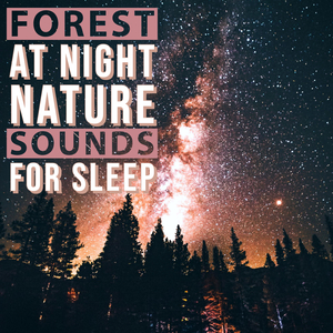 Owls Goodnight Song - Forest Nature Sounds
