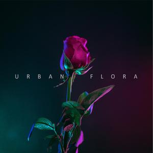 06. Show Me (Galimatias)