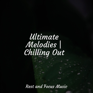 Dusk in the Distance