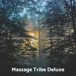 High-class Guitar and Harps - Vibe for Spa Days