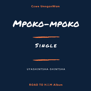 Mpoko-Mpoko