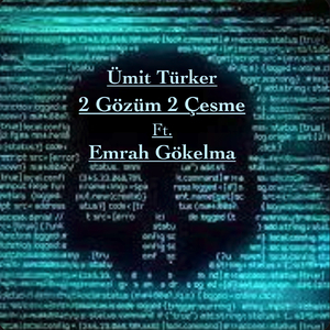 2 Gözüm 2 Çeşme