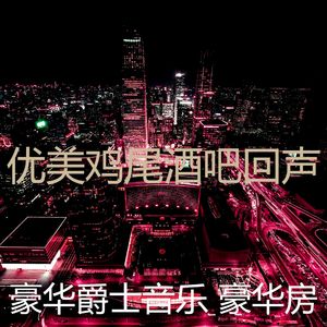 精彩鸡尾酒吧环境