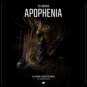 Apophenia