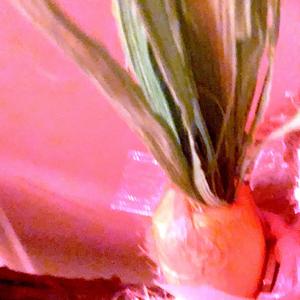 Vacancy (Extended Mix)