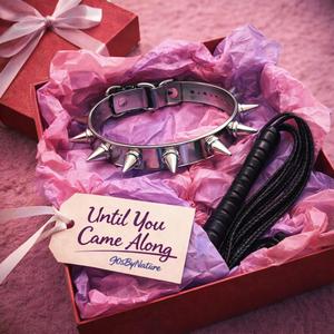 Until You Came Along