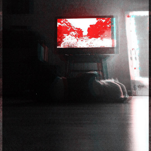 Ditch
