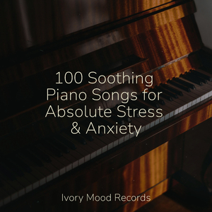 Echoes of an Adventurer's Dream