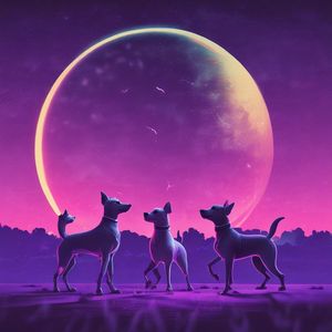 Chiweenie Dance Party