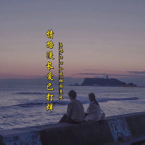 情路漫长爱已打烊DJ (对唱版)