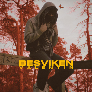 BESVIKEN