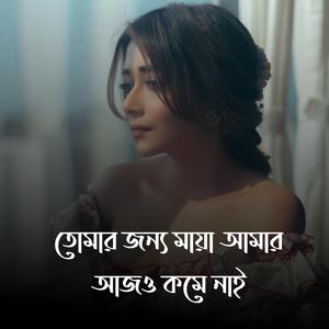 তোমার জন্য মায়া আমার আজও কমে নাই