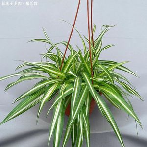 《Electronic Beats a of Sports Brand》080