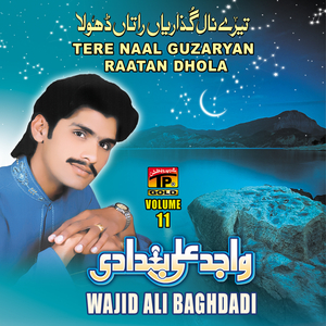 Mera Sadhey Pasey Hai