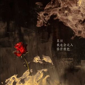 某日我也会走入昏茫夜色