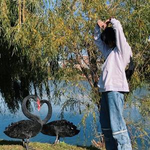 潜心蓄意（Prod by becu beatz)-Mazy