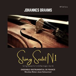 String Sextet No. 1 in B-Flat Major, Op. 18:II. Andante ma moderata
