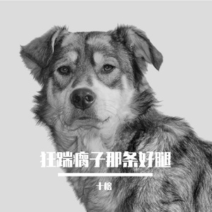 狂踹瘸子那条好腿