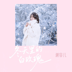 冬天里的白玫瑰