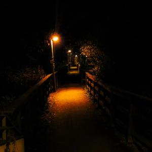 Hors Tranquilizer Ketamin