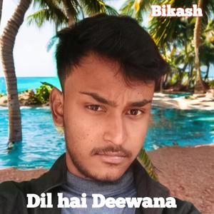 Dil hai Deewana (New version)