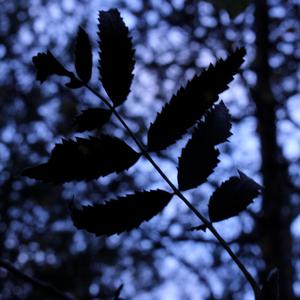 It Hurts (feat. Anni Kiiski)