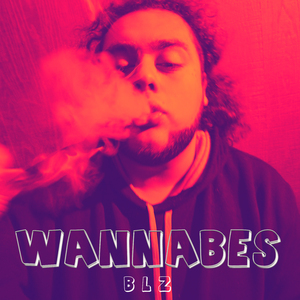 wannabes (Remix)