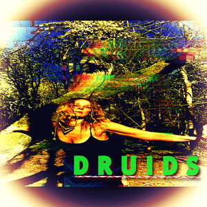 DRUIDS