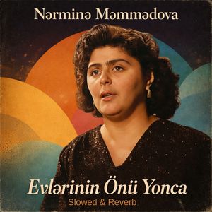 Evlərin Önü Yonca (Slowed & Reverb)