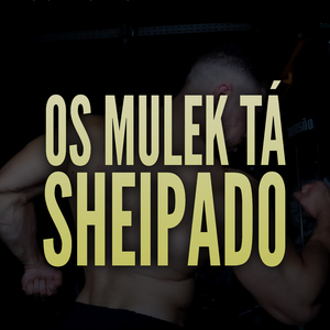 Os Mulek Tá Sheipado